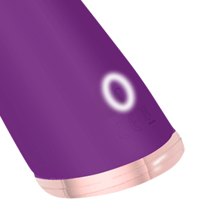 Vibratoren für die Klitoris und G-Punkt mit Stoßfunktion Vibratoren Leise und Stark Klitoris Stimulation Sextoy Vibrator Dildo Sexspielzeug für Paare Hochfrequenzstab mit 10 Vibrationmodi 11 bb5c1drs 5969