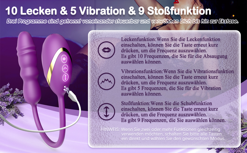 q19va8sr 12480