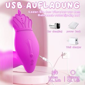 bsbq29ai 12268