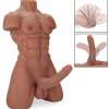 imgi 62 https3A2F2Fwww.loveandvibes.de2Fimage2F51232Fcf0fdfe8906bcc3dcf3549147cec57f02Fmaennlicher sextorso