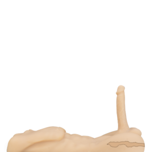 imgi 64 https3A2F2Fwww.loveandvibes.de2Fimage2F46812Faf4a78b0eff8dfde8034f29a0e94e4622Fmaennlicher sextorso mit penis und anus