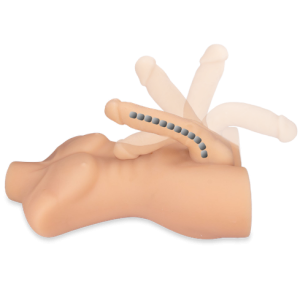 imgi 91 https3A2F2Fwww.loveandvibes.de2Fimage2F17392Fbfaed0c11199a407fe1f15139e93600e2Fmaennertorso mit grossem dildo theo 6