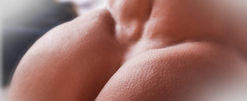 4fb1c076 4023 4d70 86cc 8ba0e28d122c. CR001464600 PT0 SX1464 V1